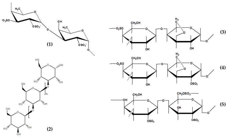 hop-chat-hoa-hoc-fucoidan