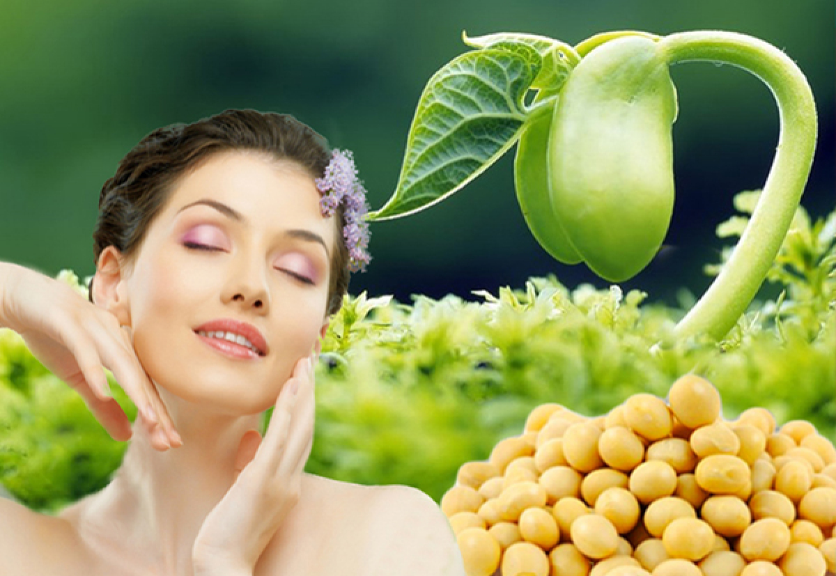 te-bao-goc-mam-dau-nanh