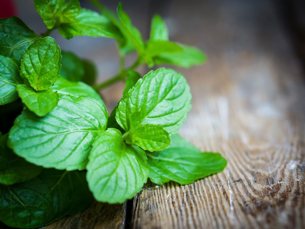 kem-boi-giam-dau-nhuc-xuong-khop